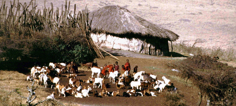 Massai-Hütte, traditionelles Leben. HHK  e.V. 
